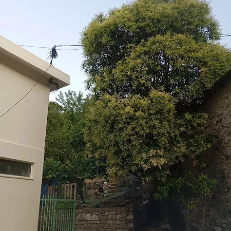 Feel The Nature Gjirokaster Polisi i Vogel