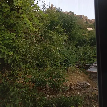 Frühstückspension Feel The Nature Gjirokaster Polisi i Vogel